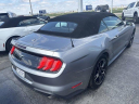 Thumbnail image of 2022 Ford Mustang at BeauTownsendFord of Vandalia, OH