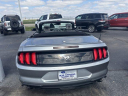 Thumbnail image of 2022 Ford Mustang at BeauTownsendFord of Vandalia, OH