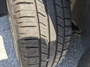 Thumbnail image of 2019 Hyundai SANTA FE at JenkinsVolkswagen of Leesburg, FL