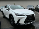 2024 Lexus NX 350 Base at Lexus of Freeport