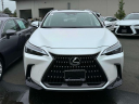 Thumbnail image of 2024 Lexus NX 350 at Lexus of Freeport