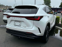 Thumbnail image of 2024 Lexus NX 350 at Lexus of Freeport