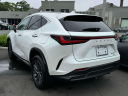 Thumbnail image of 2024 Lexus NX 350 at Lexus of Freeport