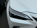 Thumbnail image of 2024 Lexus NX 350 at Lexus of Freeport