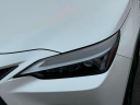 Thumbnail image of 2024 Lexus NX 350 at Lexus of Freeport