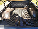 Thumbnail image of 2002 Ford Ranger at Driveway Motors, LLC