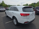 Thumbnail image of 2017 Kia Sorento at Hamilton Honda