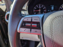 Thumbnail image of 2022 Kia Telluride at CrossroadsFord of Apex - NEW