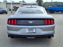 Thumbnail image of 2020 Ford Mustang at Gay Buick Gmc