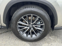 Thumbnail image of 2022 Lexus NX 350 at Advantage Hyundai Genesis of North Shore