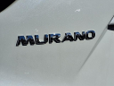 Thumbnail image of 2024 Nissan Murano at Circle Infiniti