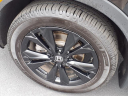 Thumbnail image of 2023 Honda CR-V Hybrid at Bob Brady Auto Mall
