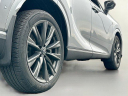 Thumbnail image of 2023 Lexus RX 350 at Lexus of Rockford