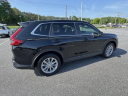 Thumbnail image of 2024 Honda CR-V at Hendrick Honda