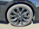 Thumbnail image of 2022 Nissan Maxima at Nissan of Westbury