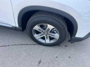 Thumbnail image of 2024 Honda Pilot at Lamacchia Honda