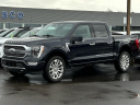 Thumbnail image of 2021 Ford F-150 at Lasco Ford