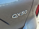 Thumbnail image of 2020 INFINITI QX50 at J L Freed Honda (Used)
