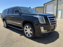 Thumbnail image of 2019 Cadillac Escalade ESV at Deva Motors