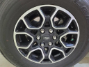 Thumbnail image of 2021 Ford F-150 at Schafer Chevrolet