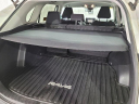 Thumbnail image of 2019 Toyota RAV4 at Schafer Chevrolet