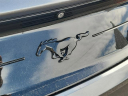 Thumbnail image of 2019 Ford Mustang at JbaChevroletMitsubishi of Glen Burnie, MD