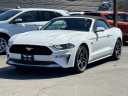 Thumbnail image of 2020 Ford Mustang at Lasco Ford
