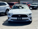 Thumbnail image of 2020 Ford Mustang at Lasco Ford