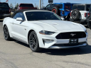 Thumbnail image of 2020 Ford Mustang at Lasco Ford