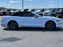 Thumbnail image of 2020 Ford Mustang at Lasco Ford