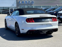 Thumbnail image of 2020 Ford Mustang at Lasco Ford