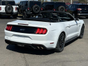 Thumbnail image of 2020 Ford Mustang at Lasco Ford