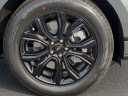 Thumbnail image of 2024 Ford Edge at Coconut Point Ford USED