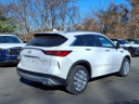 Thumbnail image of 2025 INFINITI QX50 at Circle Infiniti