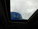 Thumbnail image of 2019 Toyota RAV4 at Gallatin Honda