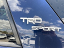 Thumbnail image of 2022 Toyota 4Runner at Toyota of Hollywood