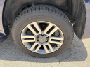 Thumbnail image of 2022 Toyota 4Runner at Toyota of Hollywood