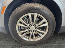 Thumbnail image of 2021 Cadillac XT5 at Preferred Chrysler Dodge Jeep Ram