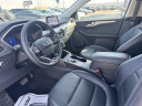 Thumbnail image of 2022 Ford Escape at BeauTownsendFord of Vandalia, OH