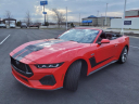 Thumbnail image of 2024 Ford Mustang at Bill Kay Honda