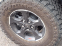 Thumbnail image of 2023 Jeep Gladiator at Cecil Atkission Ford Lincoln Del Rio