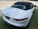 Thumbnail image of 2016 Jaguar F-TYPE at Cars of Tampa Inc