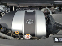 Thumbnail image of 2019 Lexus RX 350 at Audi Pembroke Pines - New
