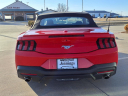 Thumbnail image of 2024 Ford Mustang at Smoky Jennings Springfield