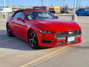 Thumbnail image of 2024 Ford Mustang at Smoky Jennings Springfield