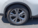 Thumbnail image of 2023 Nissan Murano at LenStolerLexusofTowson-Used of Towson, MD