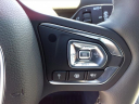 Thumbnail image of 2024 VinFast VF9 at Gary Force Honda