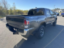 Thumbnail image of 2022 Toyota Tacoma at Shepard Toyota