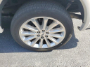 Thumbnail image of 2019 Ford F-150 at Delray Buick GMC