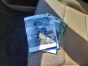 Thumbnail image of 2023 Ford F-150 at Davis Pre-owned